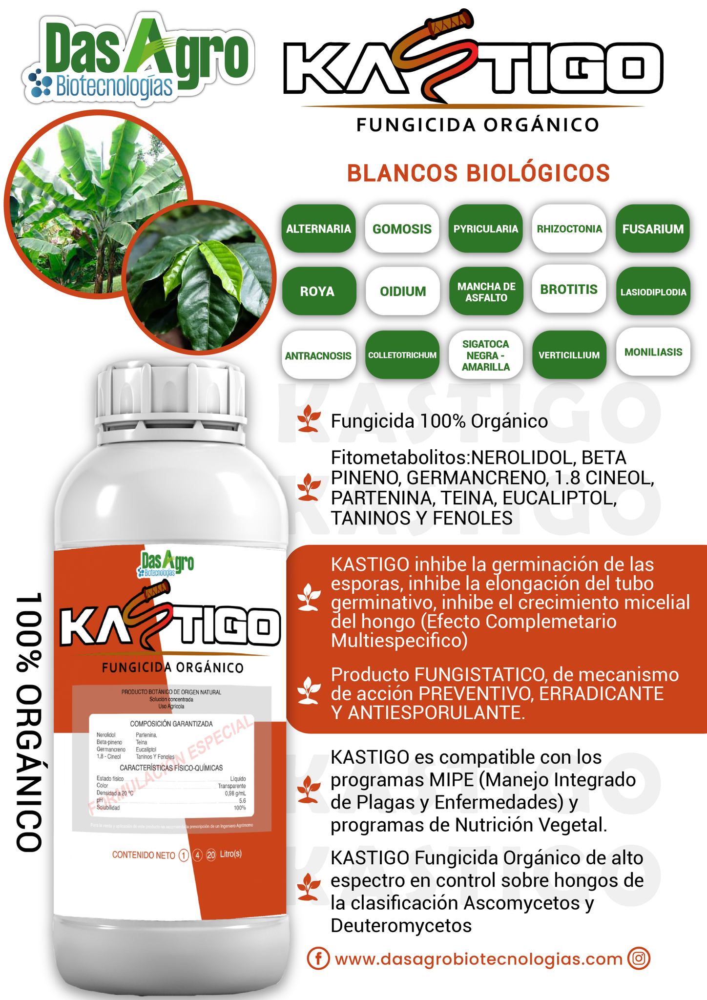 451367294_374938428964124_1615489714779233185_n