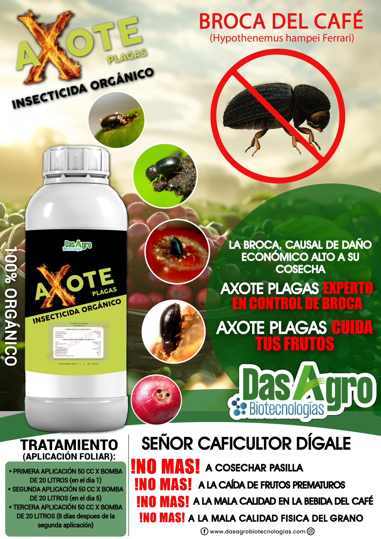 457627079_389349190856381_6634551853126754409_n