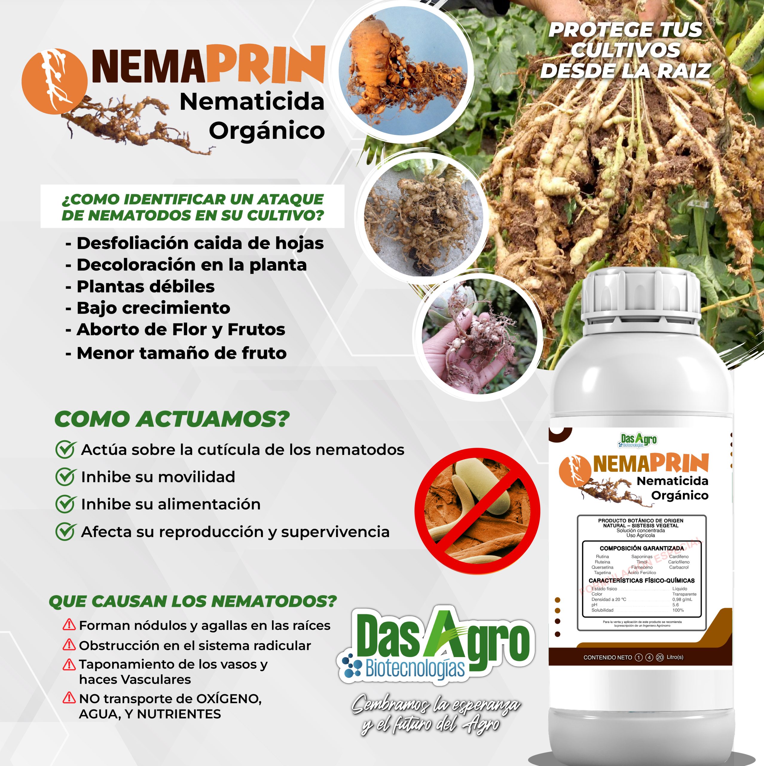 FLYER NEMAPRIM2